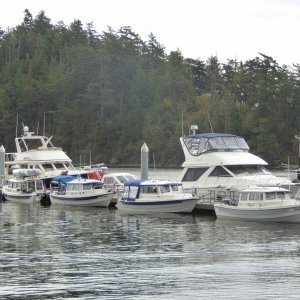 Sucia CBGT all boats now together