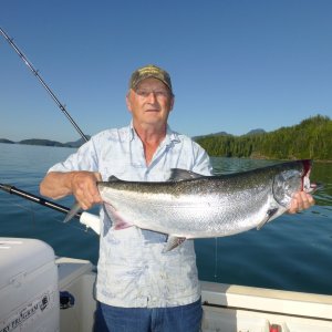 Not a tyee but still beautiful Nootka Sound Salmon
