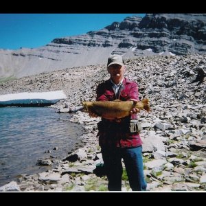 Montana cutthroat