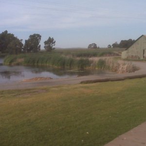 Wheeler Island, Backyard View!