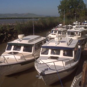 Wheeler Island line up (8 boats)