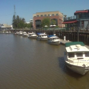 Petaluma turning basin