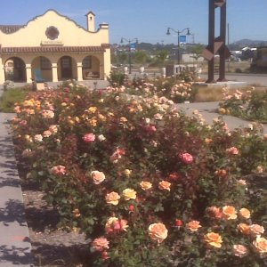 Petaluma Visitor Center