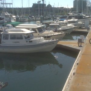 South San Francisco Marina line up (8 boats)