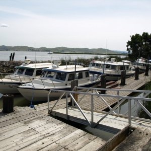 The lineup at the Wheeler Island Duck Club on the first night.
