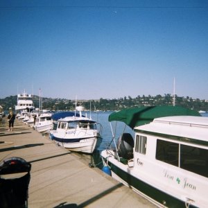 The lineup at Sausalito. We're putting tattoos on!