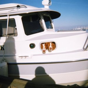 Roger and PJ's C-Hawk guests. "Can't we come too?"