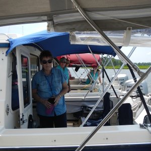 ALMA's ONLY Admiral enjoying the afternoon