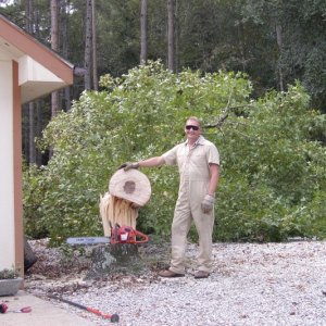 I just saved $200 by dropping tree myself. And alot more by not hitting the garage.