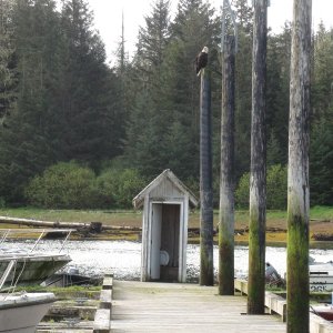 One holer open to the water on the Angoon docks with Eagle above.