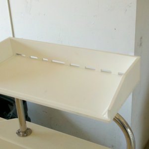 Fish cleaning station