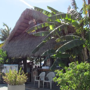 The Famous Hogfish Grille on Stock Island