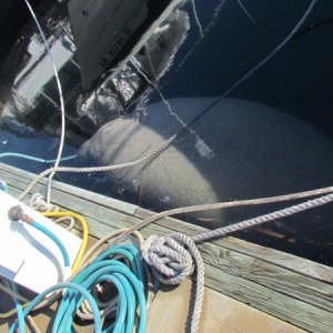 Happy hour for a manatee next to our boat in Garrison Bight marina getting a drink from a fresh water hose. No I did not do this but if you look hard you will see the reflection of the front of our boat