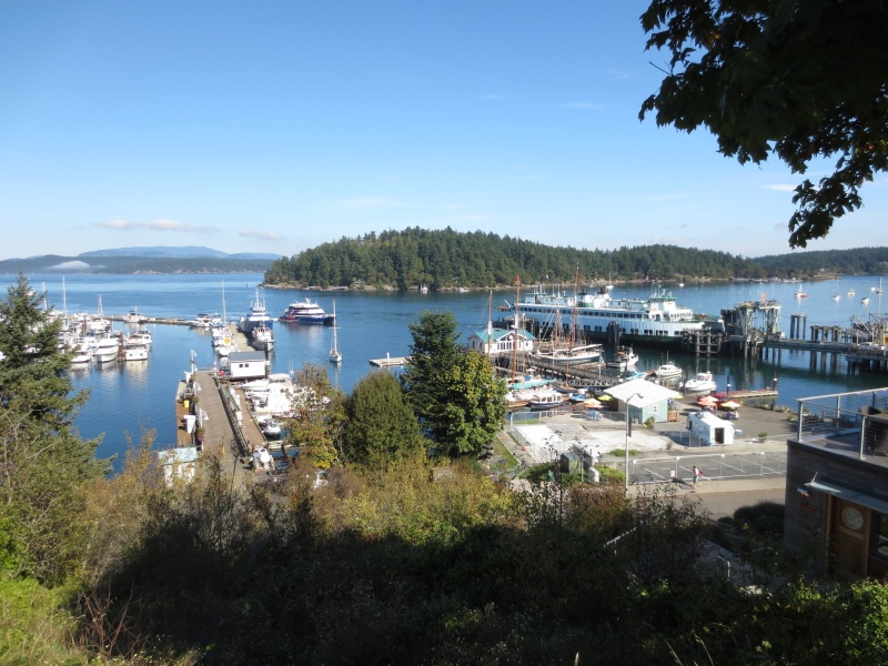 09-28-14 San Juans 16 - Friday Harbor