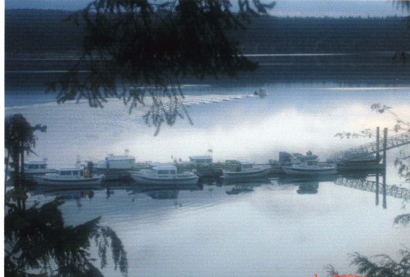 1 Oct 2006: C-Dorys at Sequim early Sunday morning.