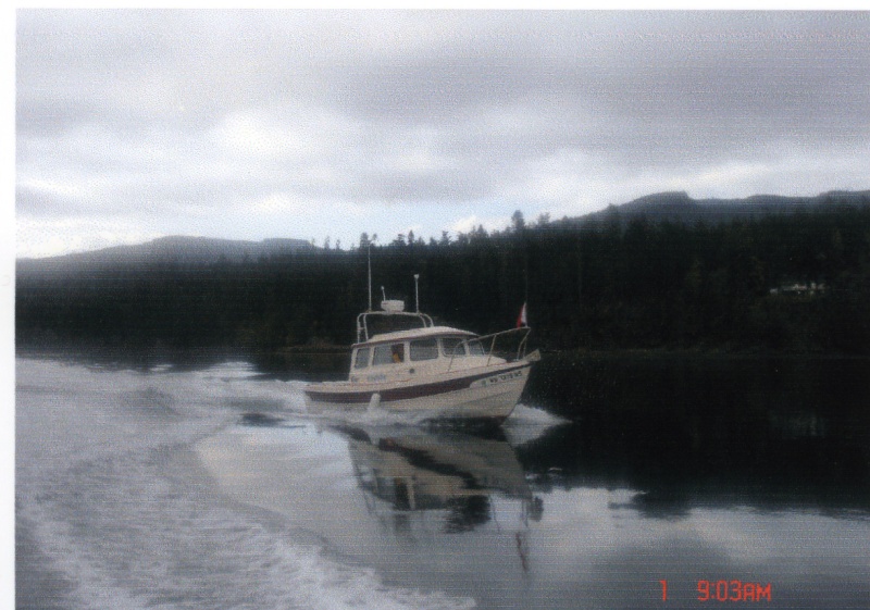 1 Oct 2006 Sequim Bay  
     KINGFISHER