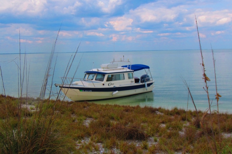 10 000 Islands May 2015 
Cape Romano Island