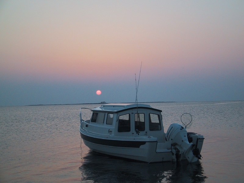 103-0372_IMG_2
remote eastern shore Chesapeake Bay.