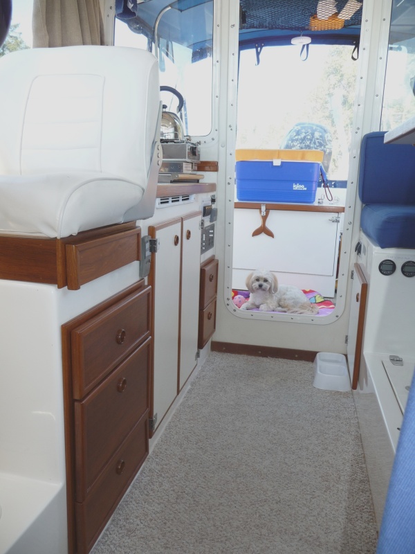 19. Cabinets  Installed