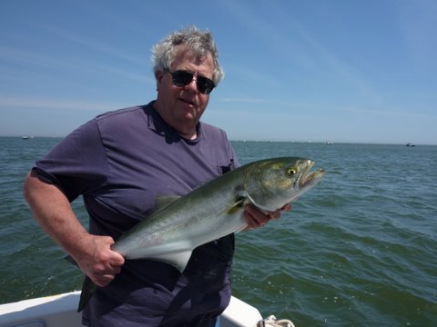 20 # pound test 1 oz bucktail with trailer hook slipped on the rear of the bucktail. Just add long strip of mackeral. Bluefish are notorious tail biters the second trailer hook is where they end up most all the time.