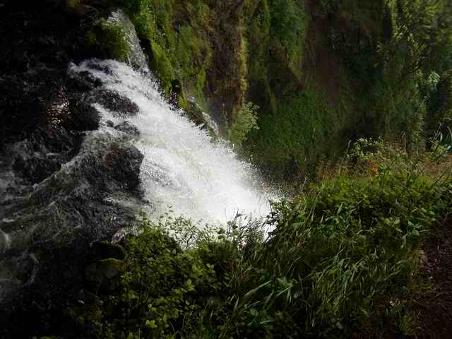 20050617 - 02 Hiking Multnomah Falls w relatives from England