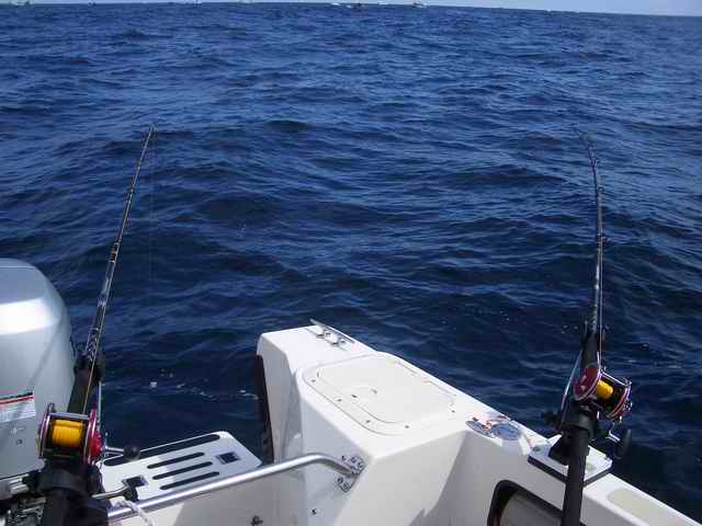 20060610 - 09 Newport Halibut Trip - Come on Fishy