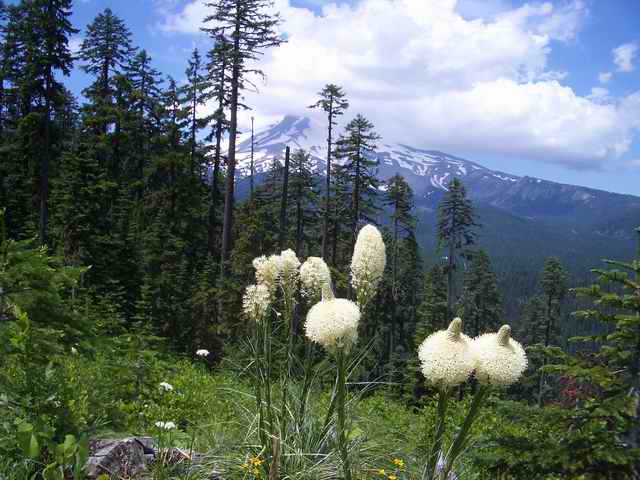 20060704 - 02 Trip w Amy & Sister to Badger Lake
