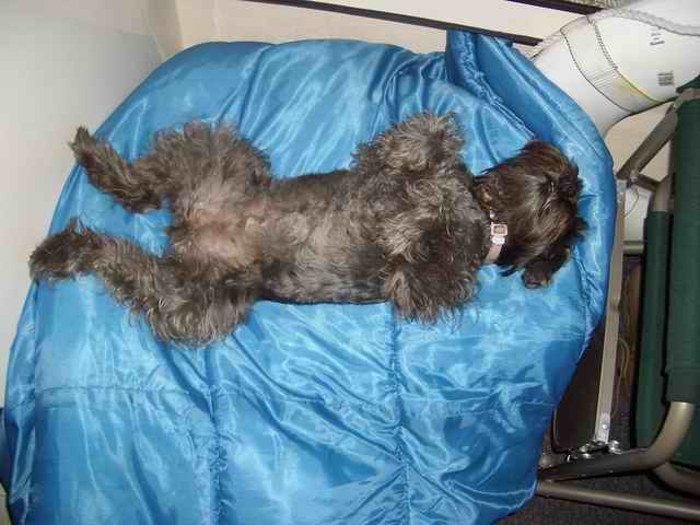 20060722 - 19 San Juans w Brother & Sister in law - Tired Dog