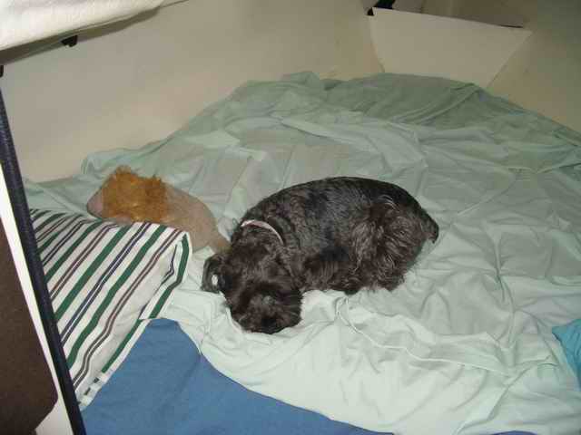 20060722 - 20 San Juans w Brother & Sister in law - Went to bed already