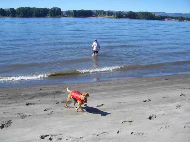 20060924 - 02 Columbia River - Good buddy Todd & Tucker dog