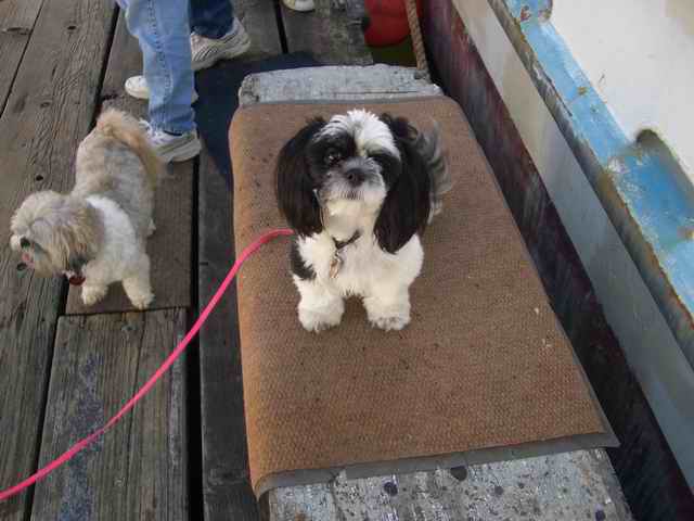 20070414  - 09 Cathlamet C-Dory Gathering