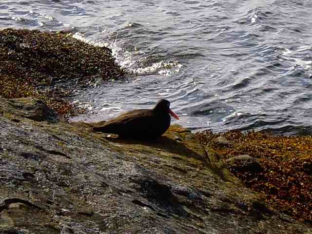 20070504 - 19 San Juans w Dad & Lopez C-Dory Gathering