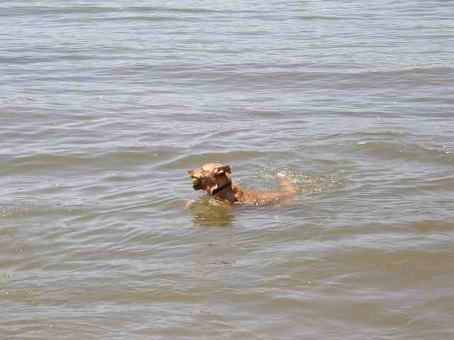 20070704 - 03 Afternoon on the Columbia River