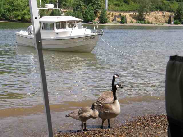 20070715 - 04 Boating with Friends on Willamette River - Locals
