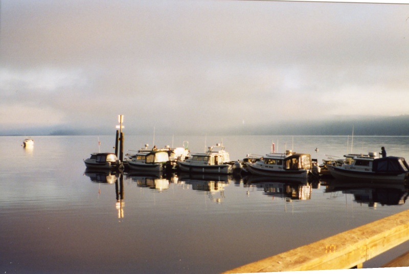 3 Oct 2004 Sequim  
C-Dorys before the fog
rolled in