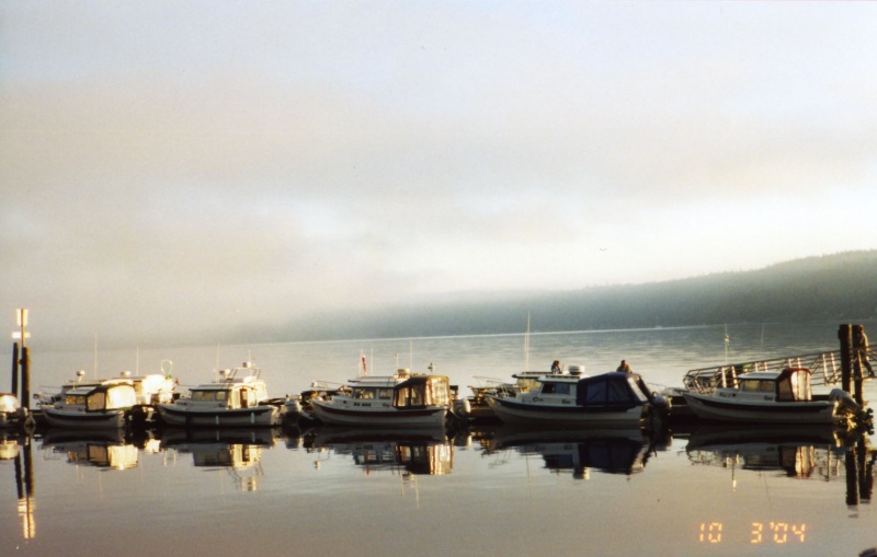 3 Oct 2004 Sequim
C-Dorys early Sunday morning