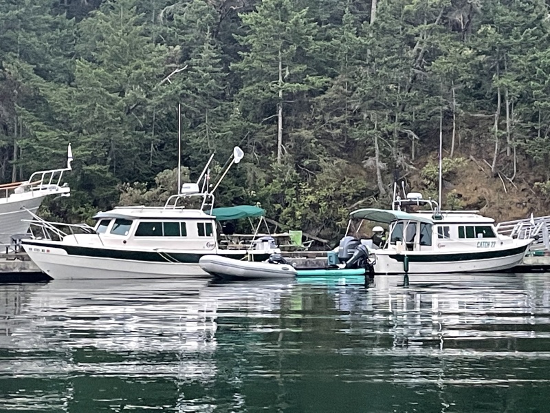 3774C40D-5D9B-4B2A-93EC-5E9C49EC8403