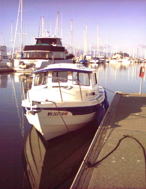 4 April 2004 Bellingham
1st Birthday for R-Matey