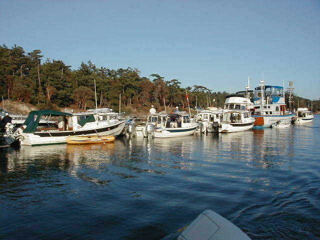 6 C-Dorys on one side of the dock