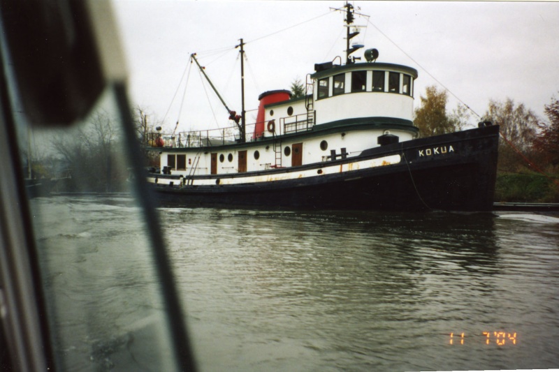 6 Nov 2004:  During the Snohomish River Run we saw the Kokua, a tugboat once owned by Sause Bros. of Coos Bay.  Joe worked on this boat in the 1970s.