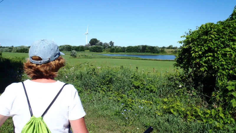 62.) Bike ride on Wolf Island to Marrysville and back to ferry
