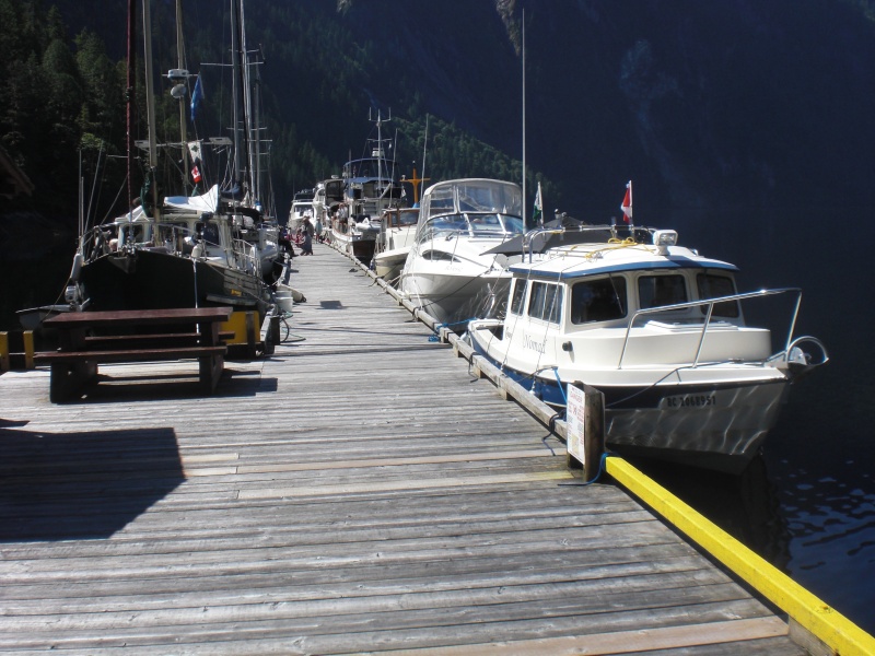 A full dock.