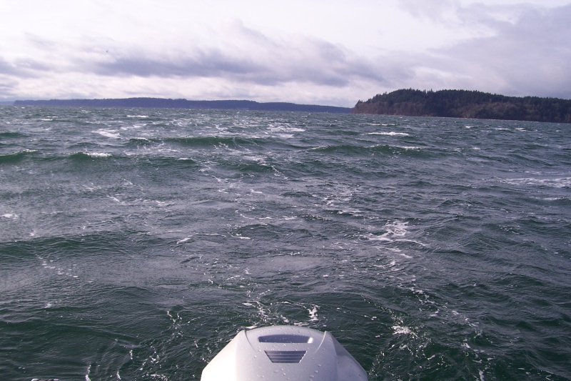 A little windy today