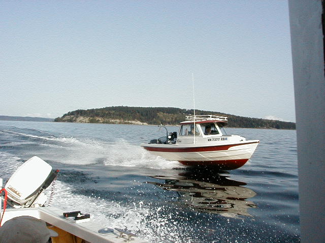 A race to the shrimpin hole