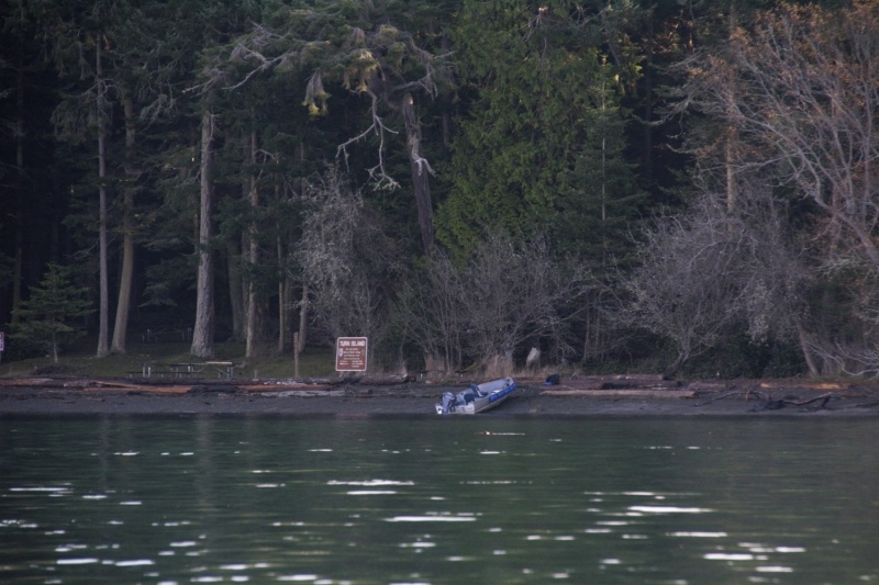A skiff on the beach at Turn Island