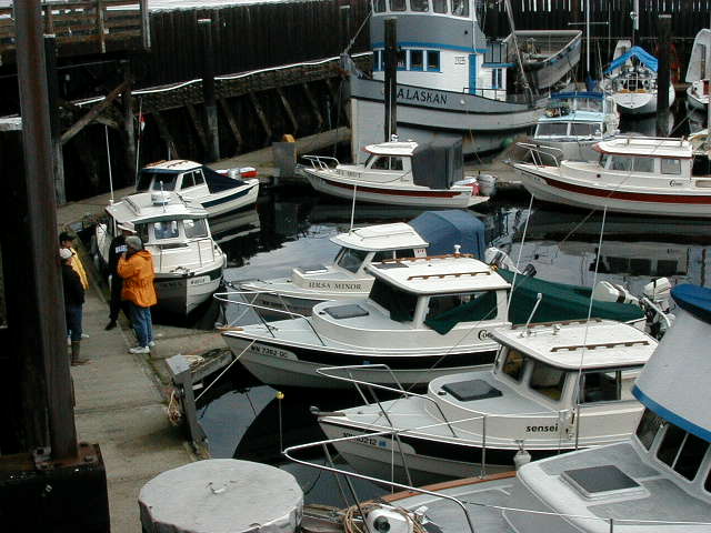 A view of the gathering at Langley Marina ,WA