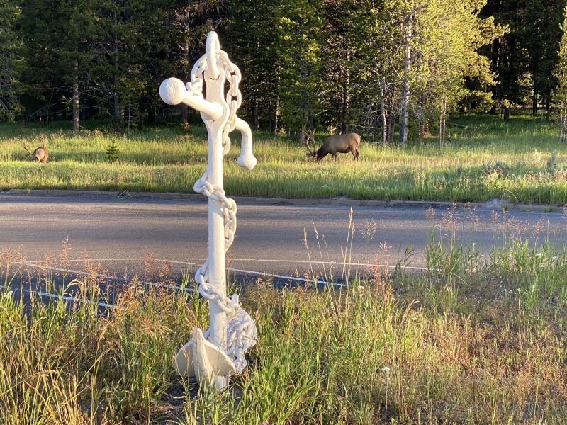 Anchor & elk not a bad combination