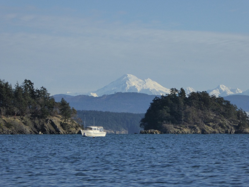 Anchored in Eagle Harbor, nice view of Mount Baker