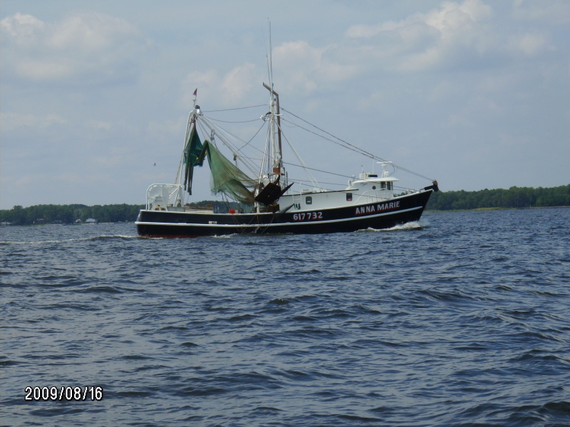 Anna Marie 
Shrimp Boat