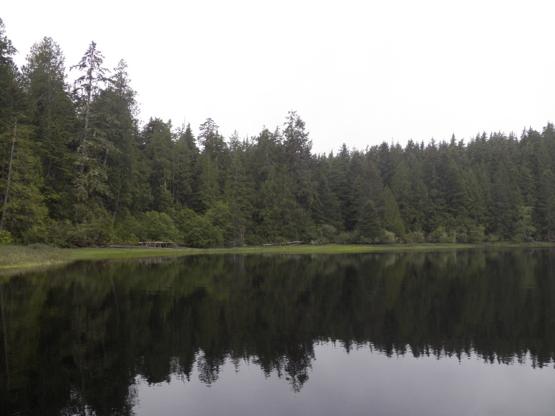 Another quiet cove.  This one also had a row of little pilings to the right.